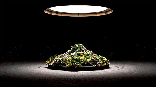 Dramatic flower installation under circular skylight in the lobby of The Alpina Gstaad