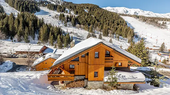 Exterior of a modern wooden chalet in Meribel against a backdrop of coniferous forest and a ski slope