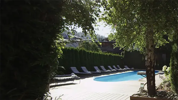 Outdoor pool with sun loungers among trees at Lodge Park hotel.