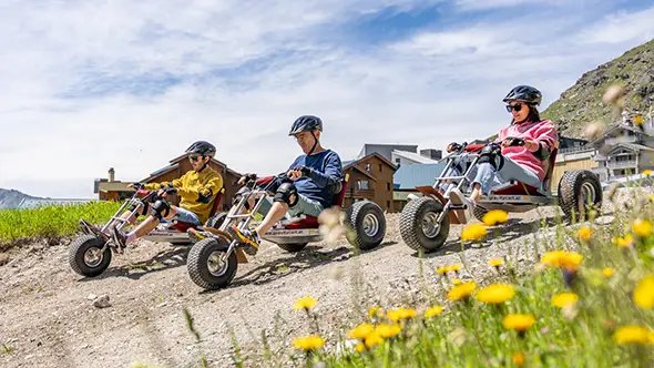 Resort guests riding mountain karts.