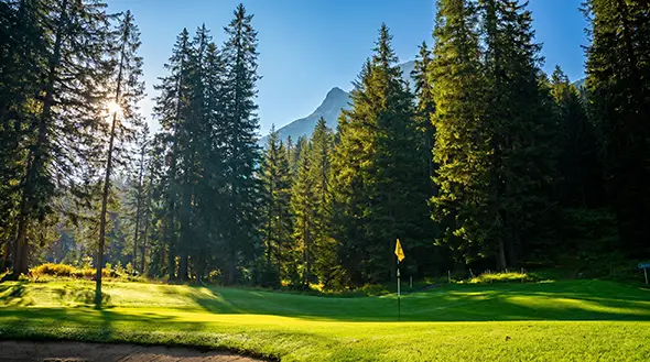 Golf green with a yellow flag in a pine forest.