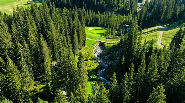 Narrow golf fairway among dense forest from above.