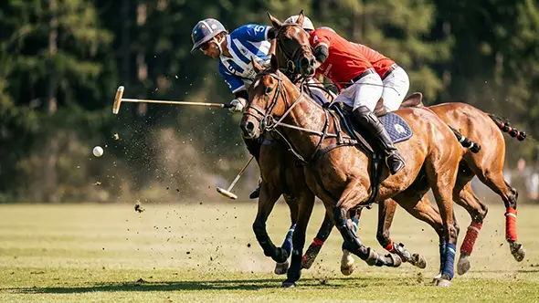 Polo players in a moment of intense competition at the St. Moritz tournament.