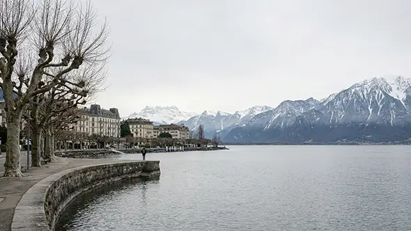 Winter promenade on Lake Geneva with bare plane trees and snow-covered peaks across the water