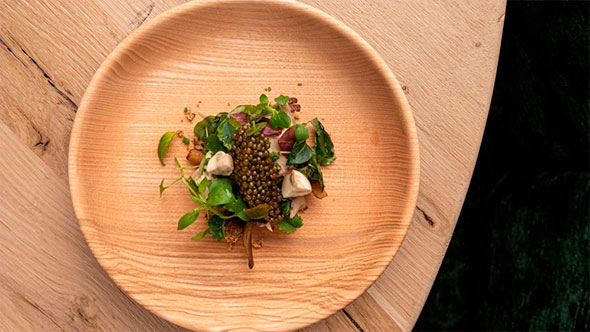 Exquisite appetizer or salad: a bunch of fresh greens, microgreens, and berries/pepper on a wooden plate mimicking a tree trunk, served against a wooden table background