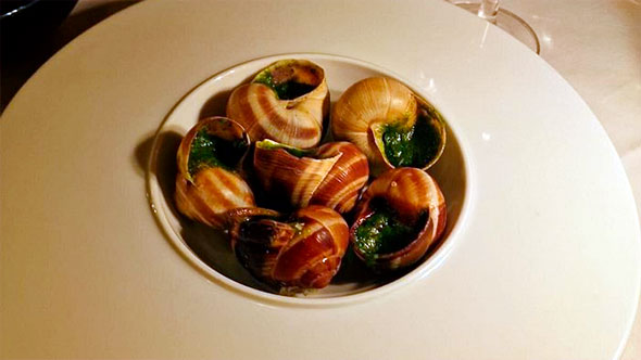 Exquisite Croque Sando of toasted bread with dark meat filling, cut into four pieces, being poured over with a green sauce, on a pink wooden plate