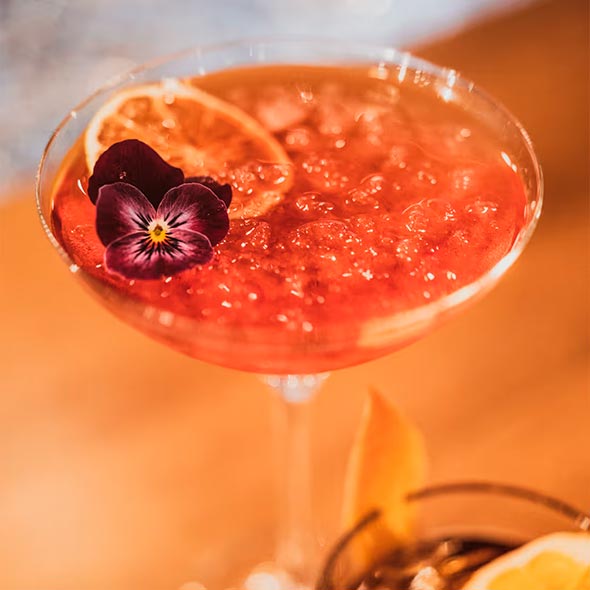 Close-up of a red-orange cocktail served in a martini glass, with large ice cubes and garnished with a slice of dried orange and a purple edible flower (pansy).