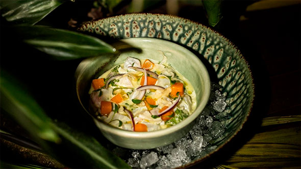 Exquisite Mexican ceviche (fish or seafood) with red onion and carrot/pepper cubes, served in a small bowl on crushed ice, garnished with greenery