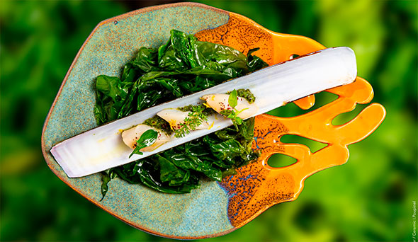 Exquisite dish: razor clam fillet with pesto/green oil, served on a bed of braised green seaweed/greens in an orange and blue ceramic plate