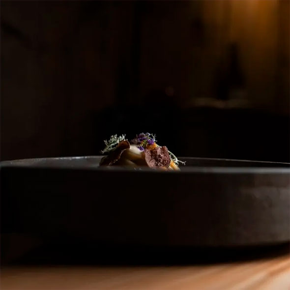 Atmospheric photo: an exquisite dish featuring thin truffle slices and alpine herbs/lichen served in a deep, matte, dark ceramic bowl, illuminated from above, set against a dark wooden interior.