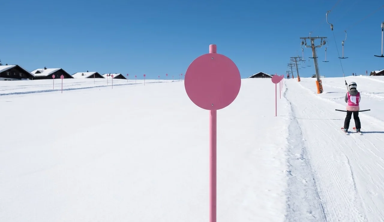 Pink markers and a drag lift on the beginner area in La Plagne