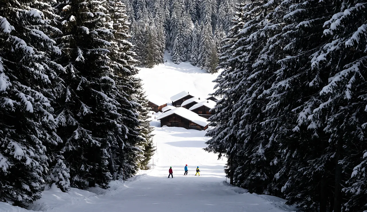 Tree-lined piste running past wooden chalets in Méribel