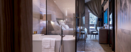 Deluxe Suite with 1 bedroom