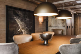 Serpentine Apartment