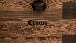 Crocus 