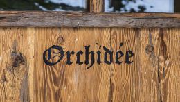 Orchidee Suite