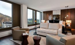 Penthouse Suite 1-Bedroom suites 