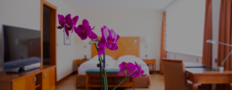 Superior double north room